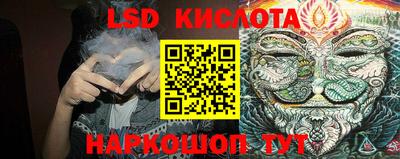 гашик Сланцы