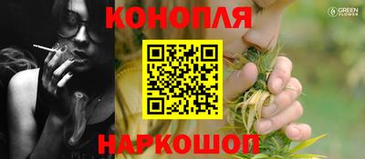 гашик Сланцы