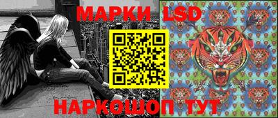 гашик Сланцы
