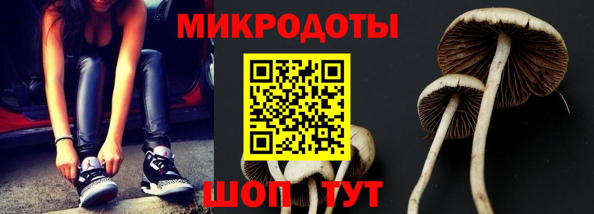 Псилоцибиновые грибы MAGIC MUSHROOMS  Псилоцибиновые грибы мухоморы  Новоалтайск  Вход с VPN 